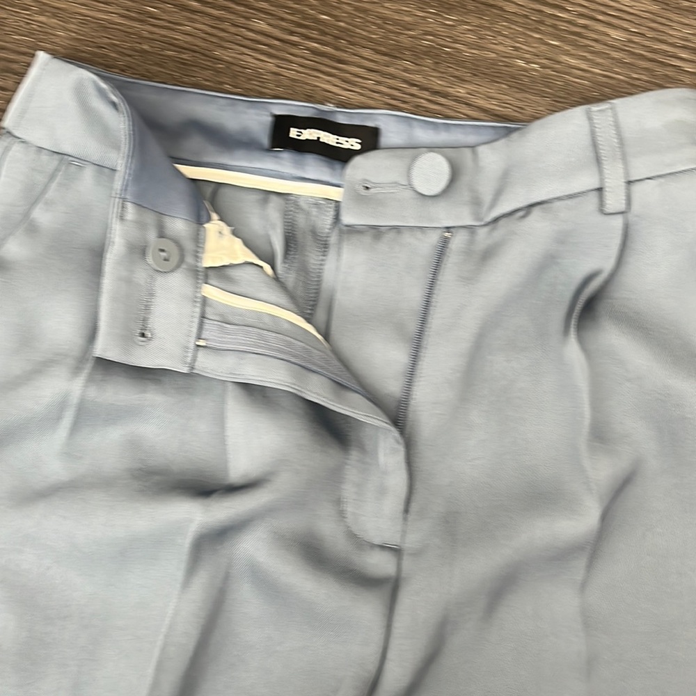 Express satin wide leg dressy pants